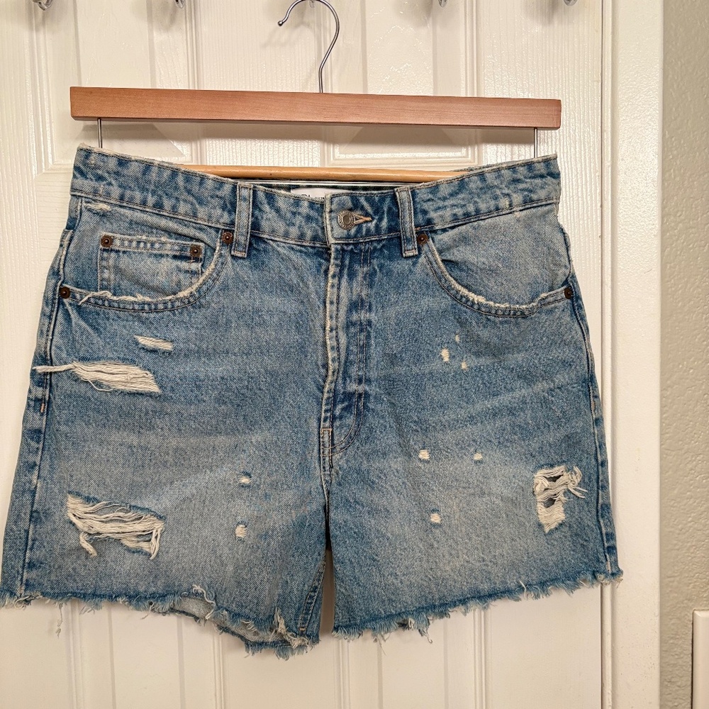 Zara Shorts